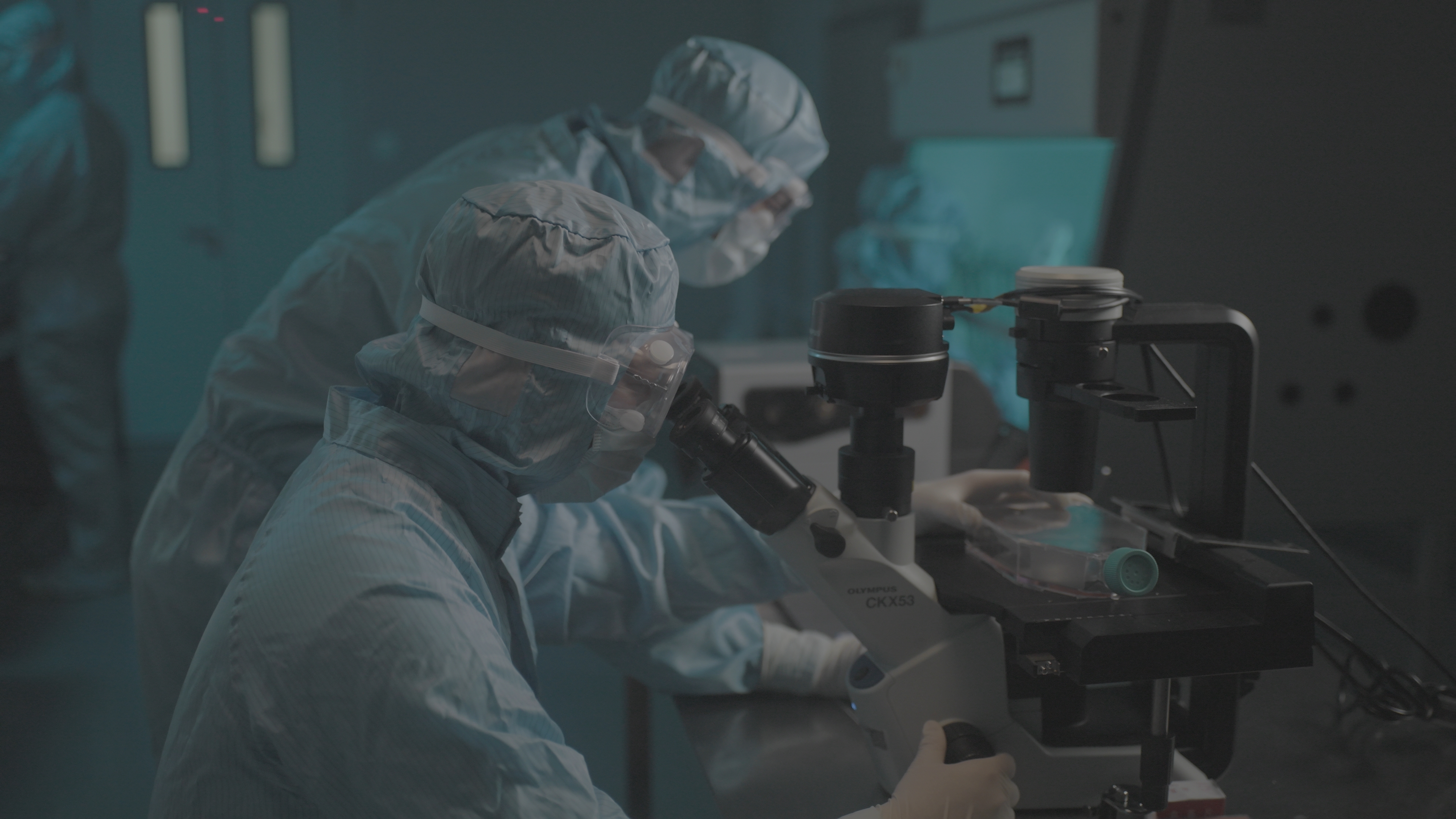 Cell Observation